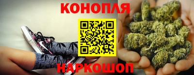 шишки Пушкино