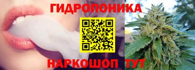 шишки Пушкино