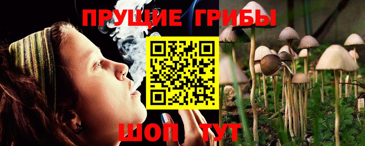 Галлюциногенные грибы Psilocybine cubensis Сатка