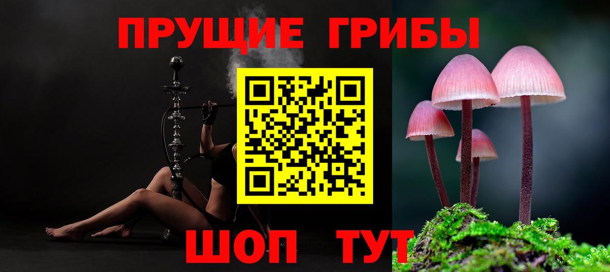 Псилоцибиновые грибы MAGIC MUSHROOMS  Псилоцибиновые грибы Cubensis  как найти   Сатка  Вход с VPN 